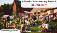 6 Weeks Volunteering in Sweden