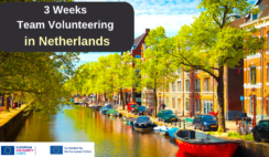 3 Weeks Team Volunteering in Netherlands