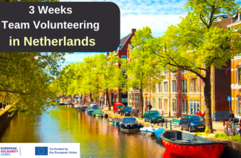 3 Weeks Team Volunteering in Netherlands