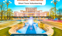 Romania , Bucharest : Short Term Volunteering