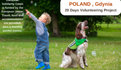 Poland , Gdynia : 20 Days Volunteering Project