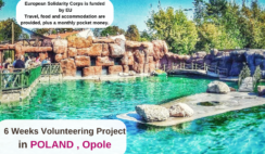 Poland , Opole : 5 Weeks Volunteering Project