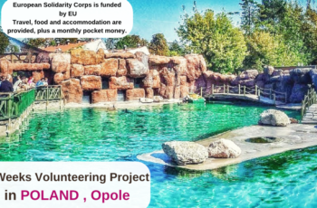 Poland , Opole : 5 Weeks Volunteering Project