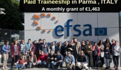 Italy , Parma : Paid Traineeship