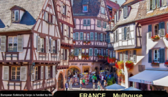 France , Mulhouse : 33 Weeks Volunteering Project