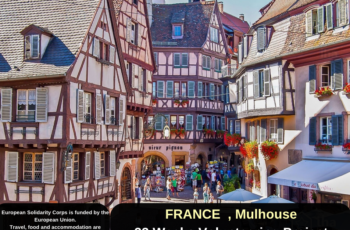 France , Mulhouse : 33 Weeks Volunteering Project