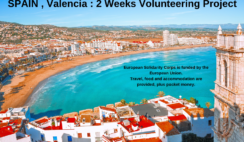 Spain , Valencia : 2 Weeks Volunteering Project