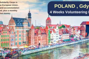 Poland , Gdynia : 4 Weeks Volunteering Project