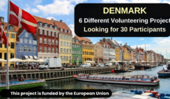 Denmark: 6 Different Volunteering Projects , Looking for 30 Volunteers