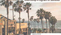 USA , Los Angeles : RIPS Internship in Summer