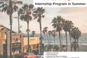 USA , Los Angeles : RIPS Internship in Summer