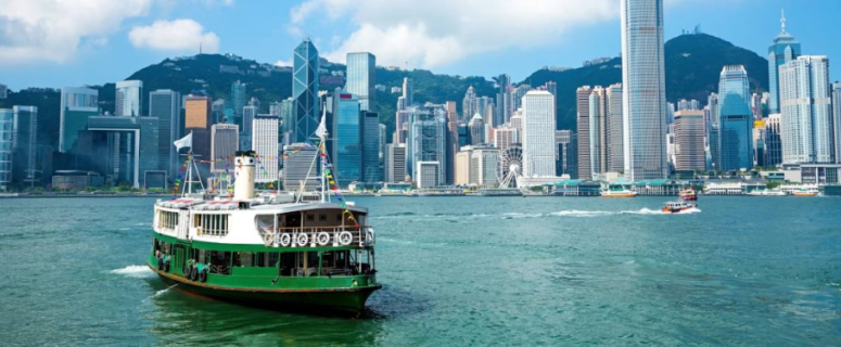 The University of Hong Kong : Summer Research Programme