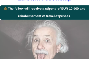 Einstein Fellowship